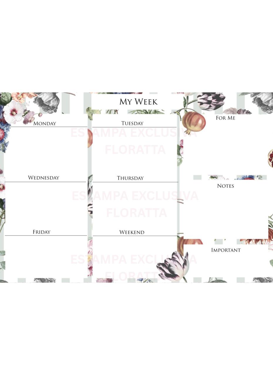 PLANNER SEMANAL - Imagem 2